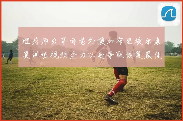 理疗师分享海港外援加布里埃尔康复训练视频全力以赴争取恢复最佳状态